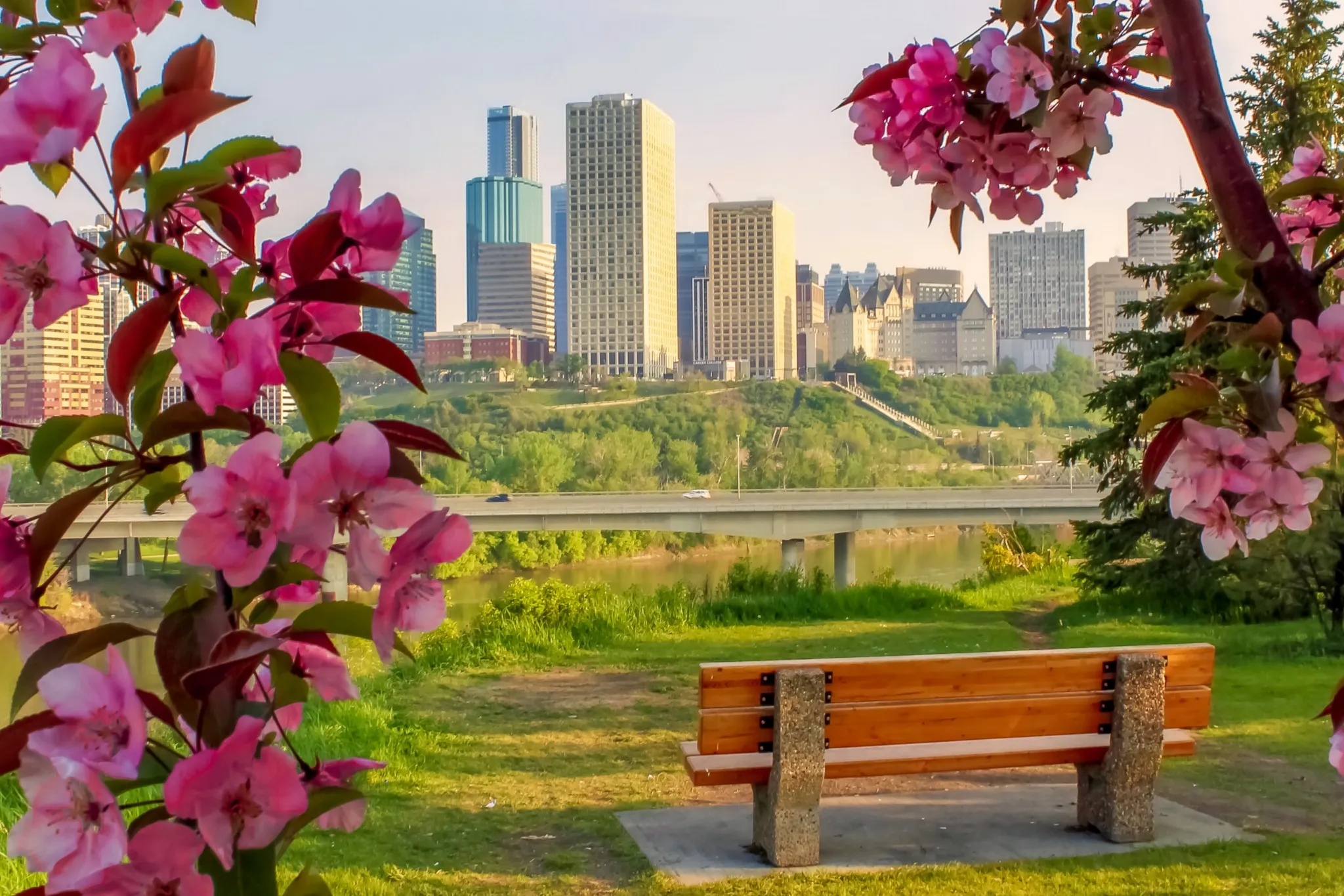 A week of baseball, beer, and Latin dance in downtown Edmonton