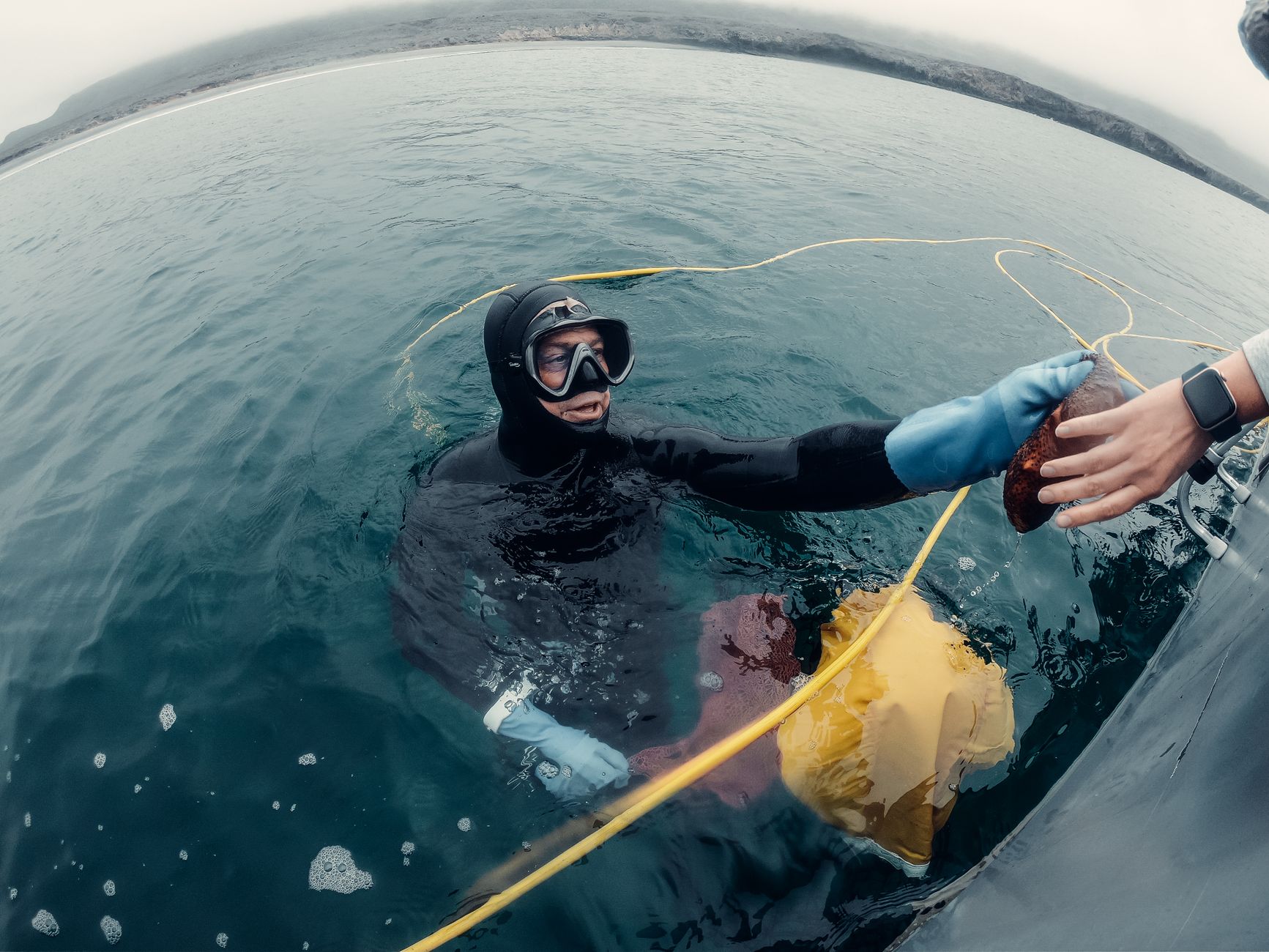 Montreal researchers discover innovative marine monitoring network detects earthquakes and whale songs