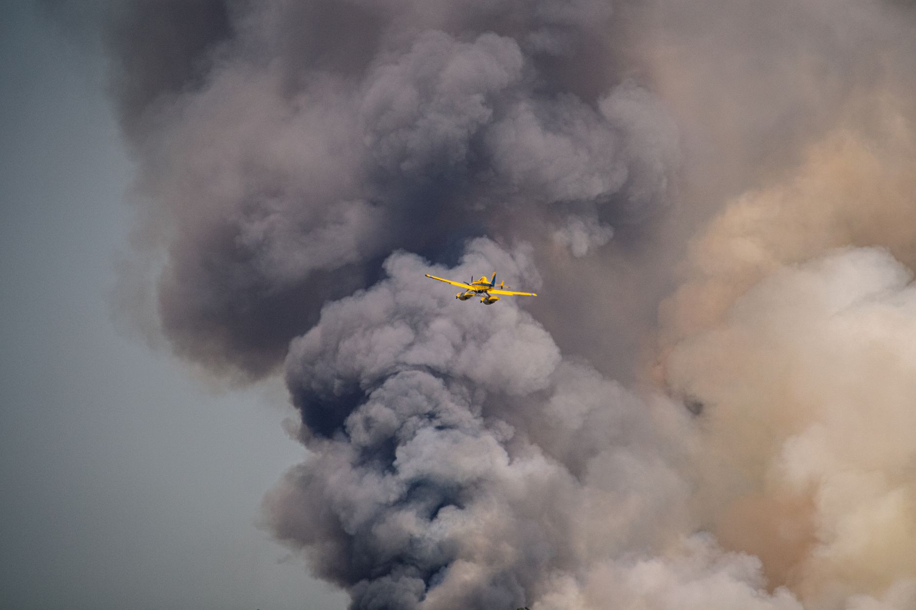 Montreal braces for severe storms and wildfire smoke Saturday evening