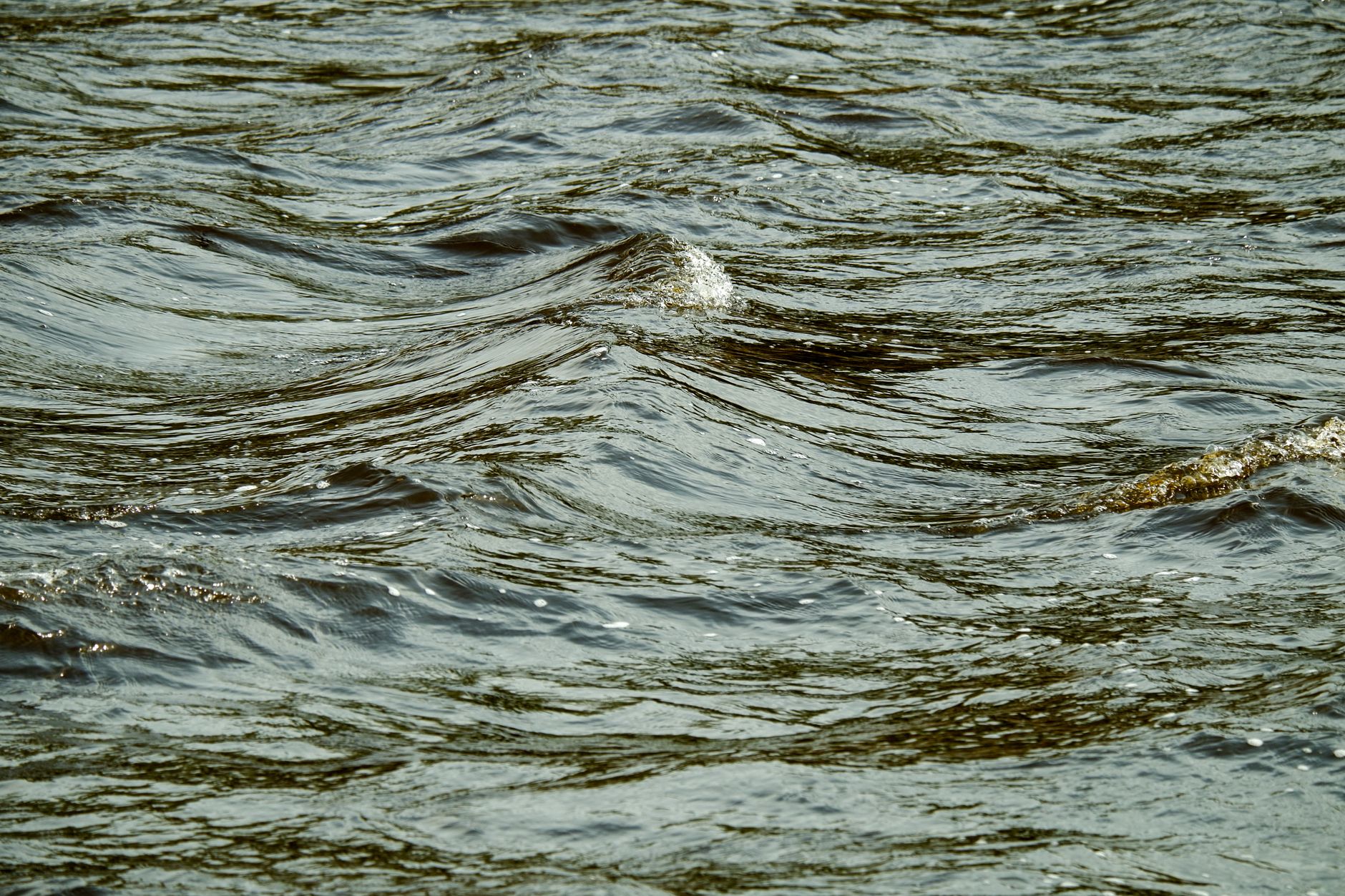 St. Albert's Sturgeon River swells to record levels as city urges people to stay away