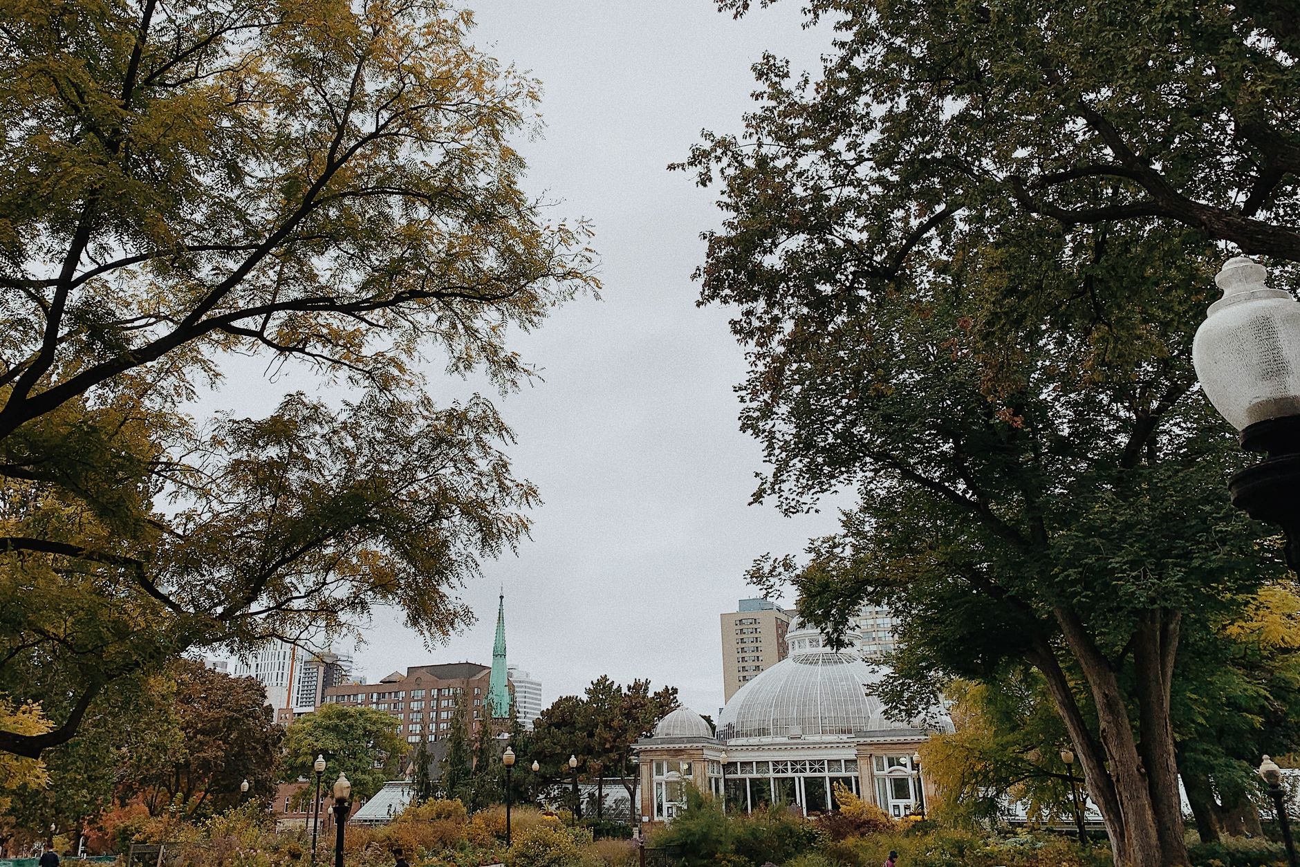 Man stabbed near Allan Gardens arrested; victim in stable condition