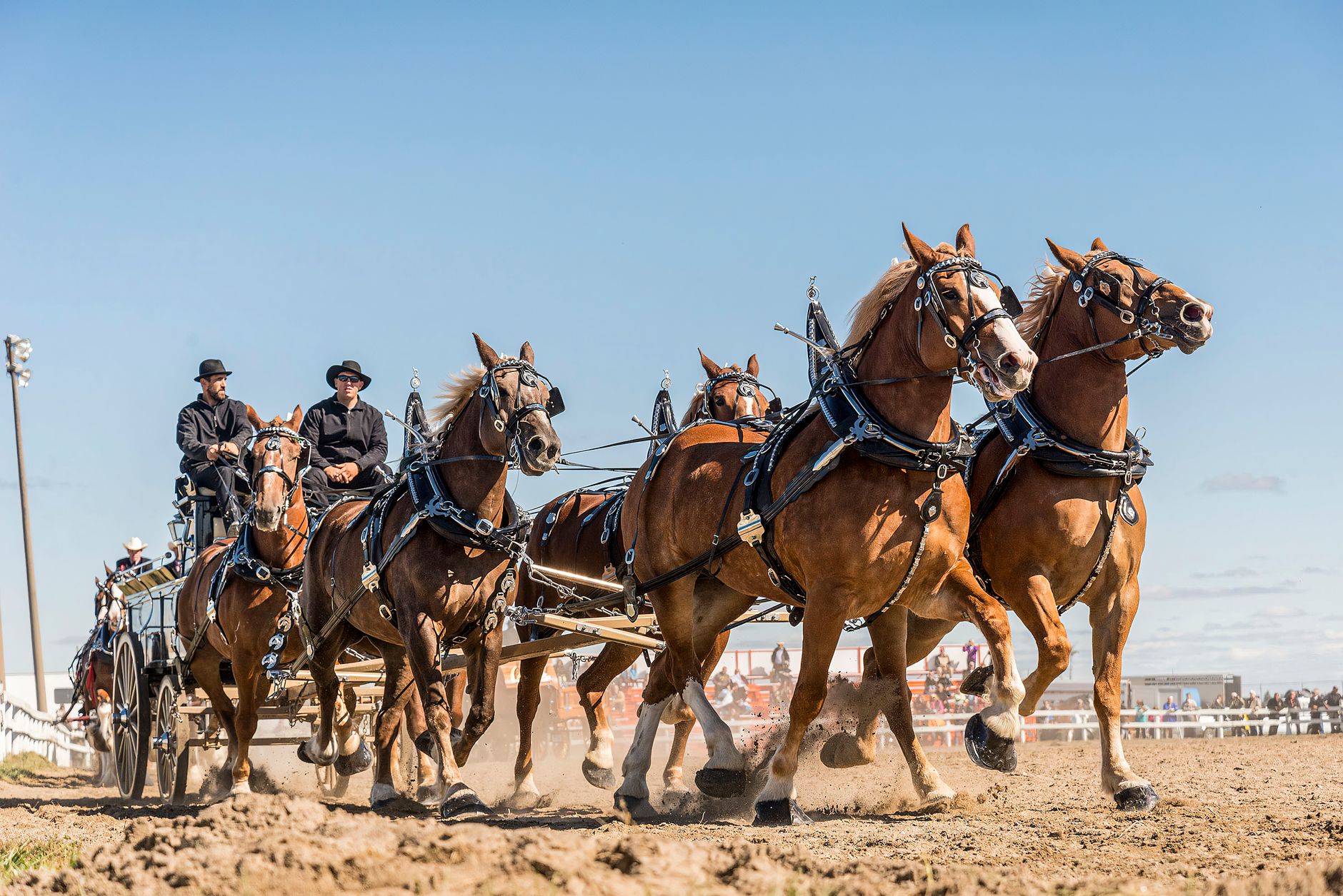 Chuckwagon racing returns to Calgary Stampede with 27 drivers competing for $50,000 and new GMC truck