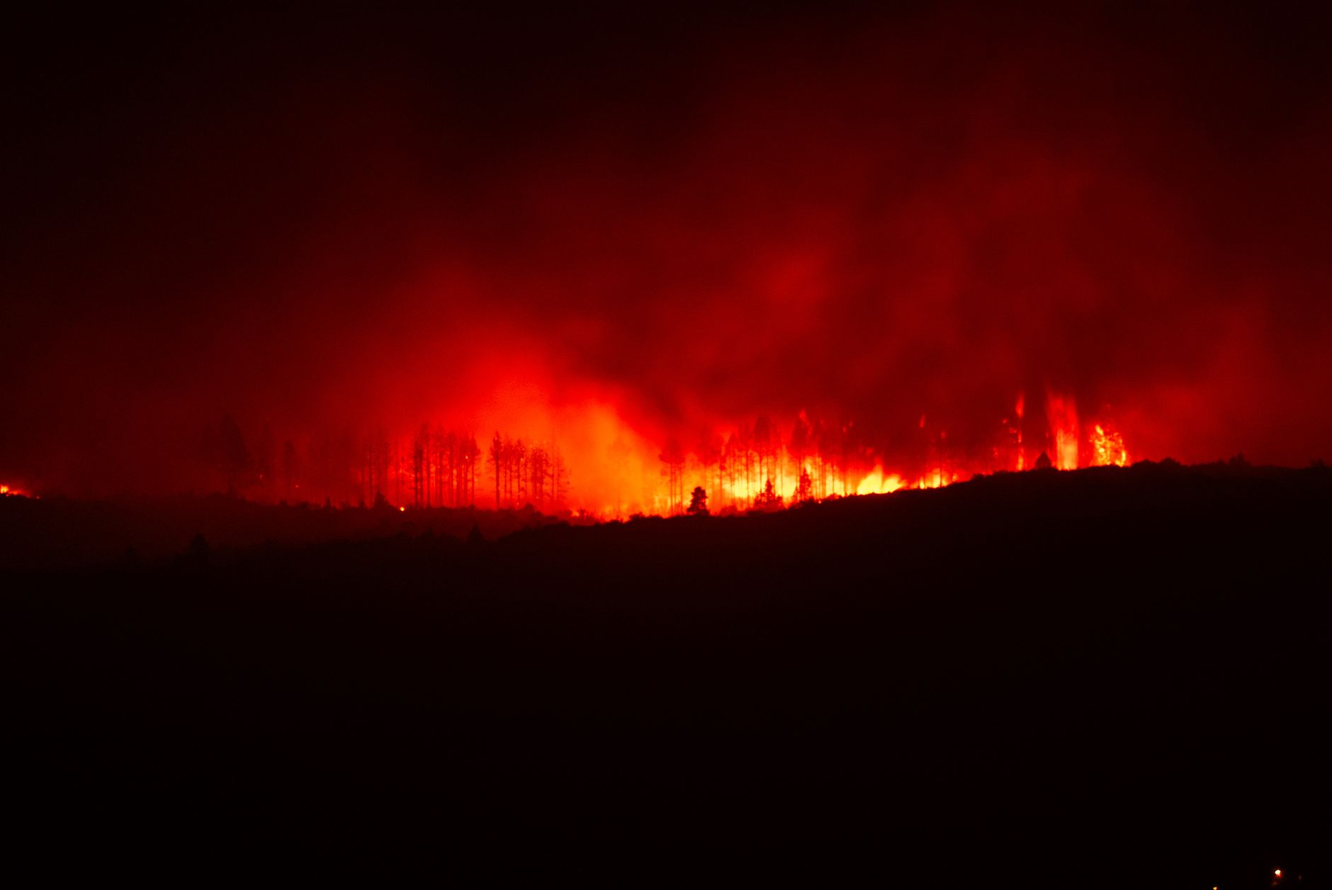 Saw Creek wildfire near Lytton grows to 704 hectares