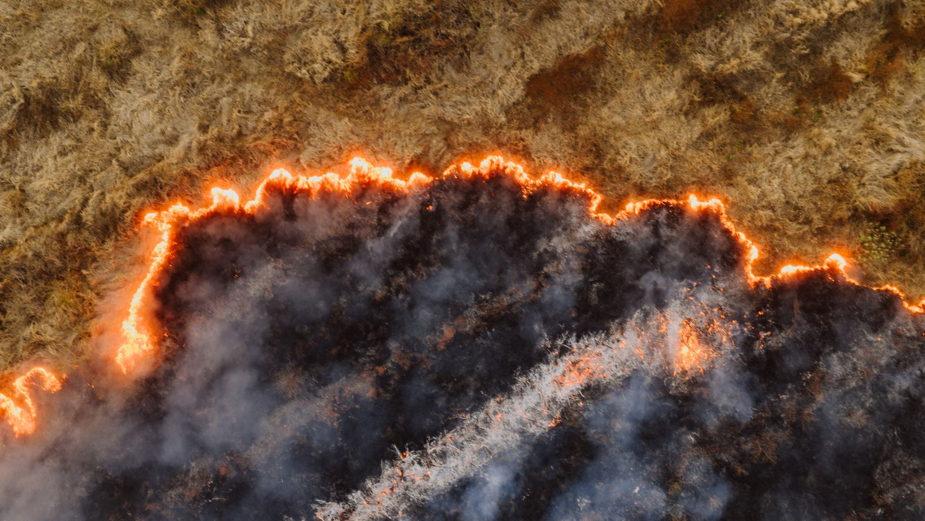 More than 100 wildfires burn across B.C. as climate change doubles extreme fire-weather odds