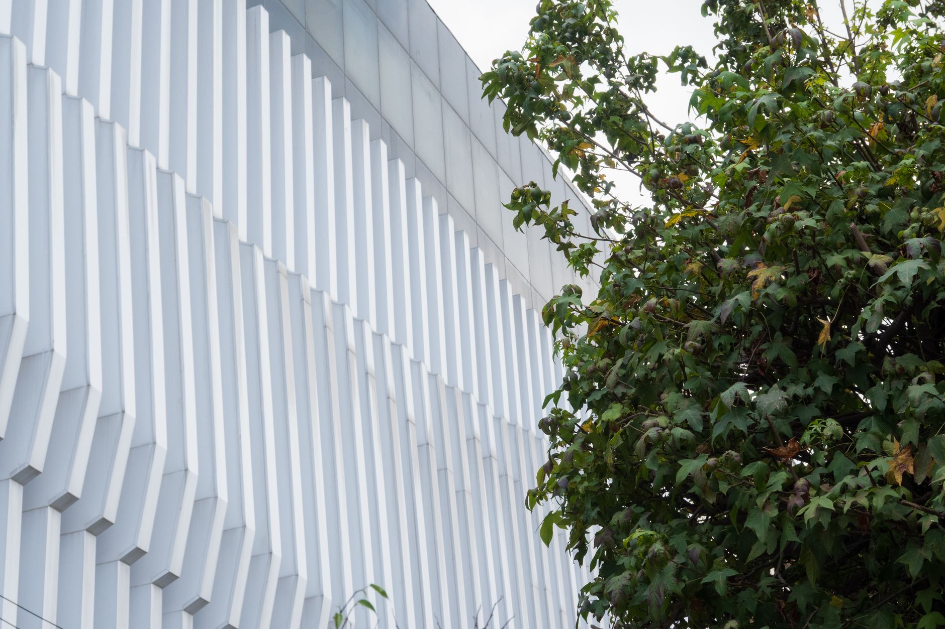 Rollie Miles Park rec centre remains stalled amid $130 million price tag