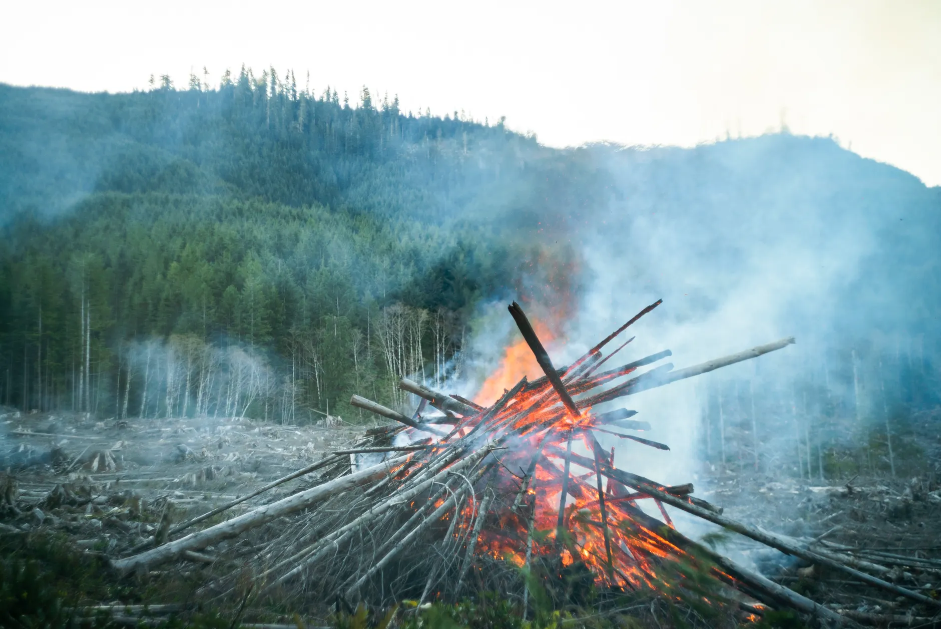 Pear Lake and French Bar Creek wildfires expand in B.C. Interior; evacuation orders downgraded