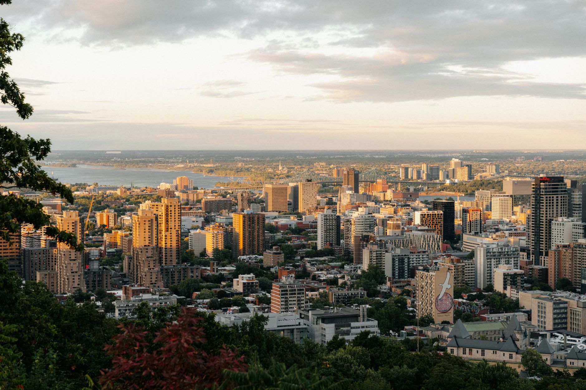 Montreal's after-hours culture is moving digital