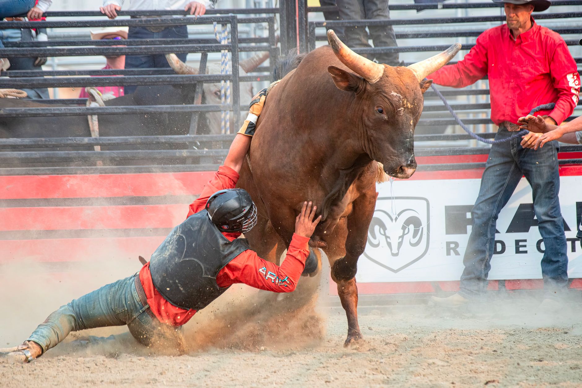 Breakaway roper Cheyanne McCartney takes two rounds at Calgary Stampede after year of redemption