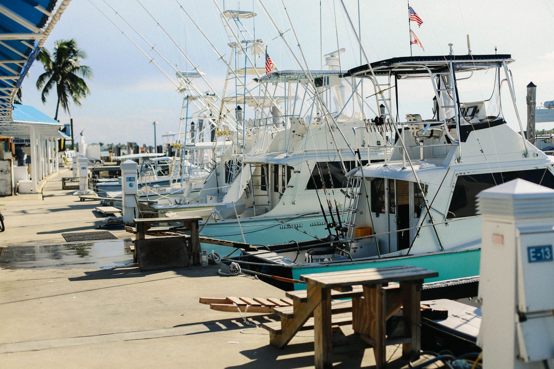 Transport Canada detains fishing charter boat linked to fatal June sinking