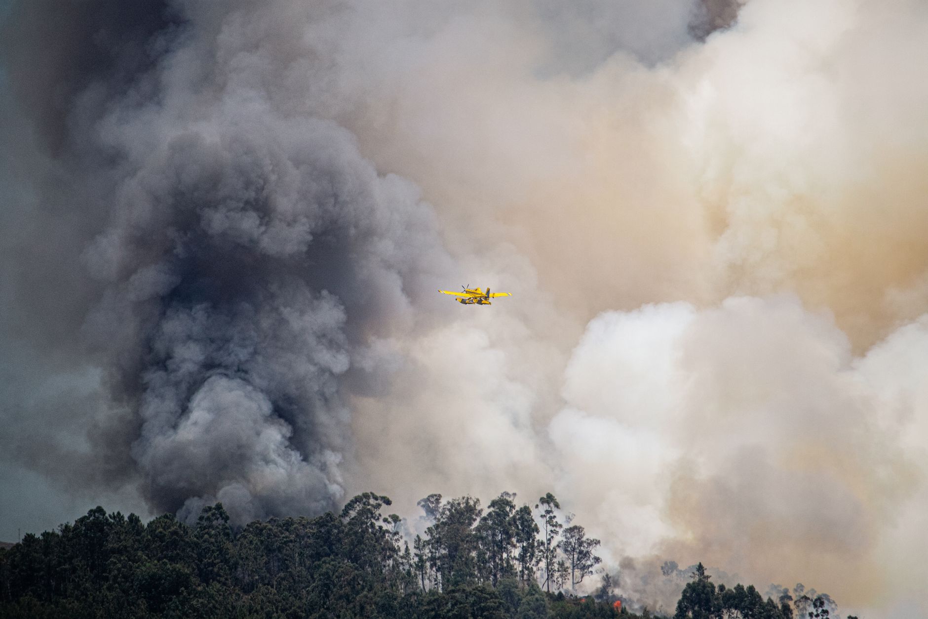 Wildfire-fighting plane crashes in Northwest Territories