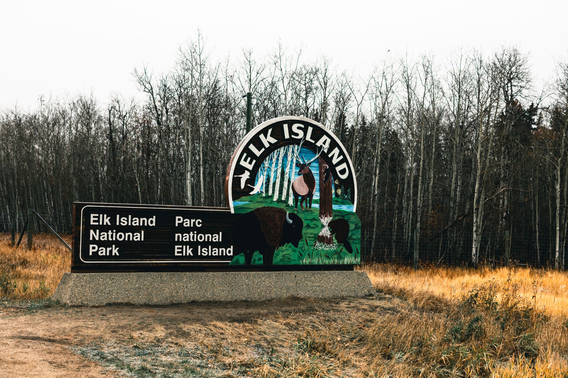 Ontario expands free provincial park access for veterans to seven days a week