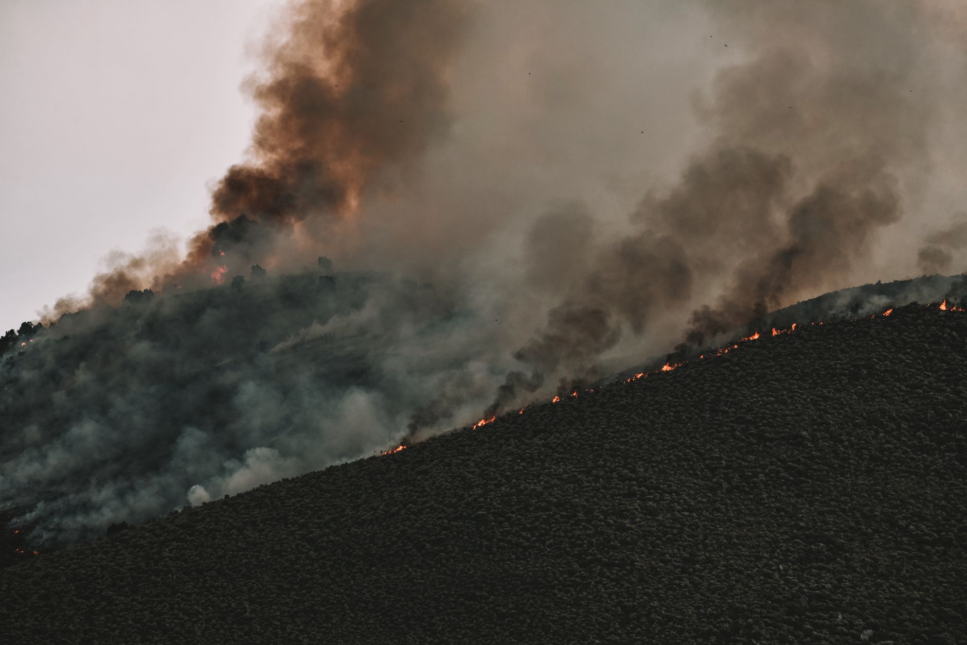 Calgary under air quality advisory as wildfire smoke arrives