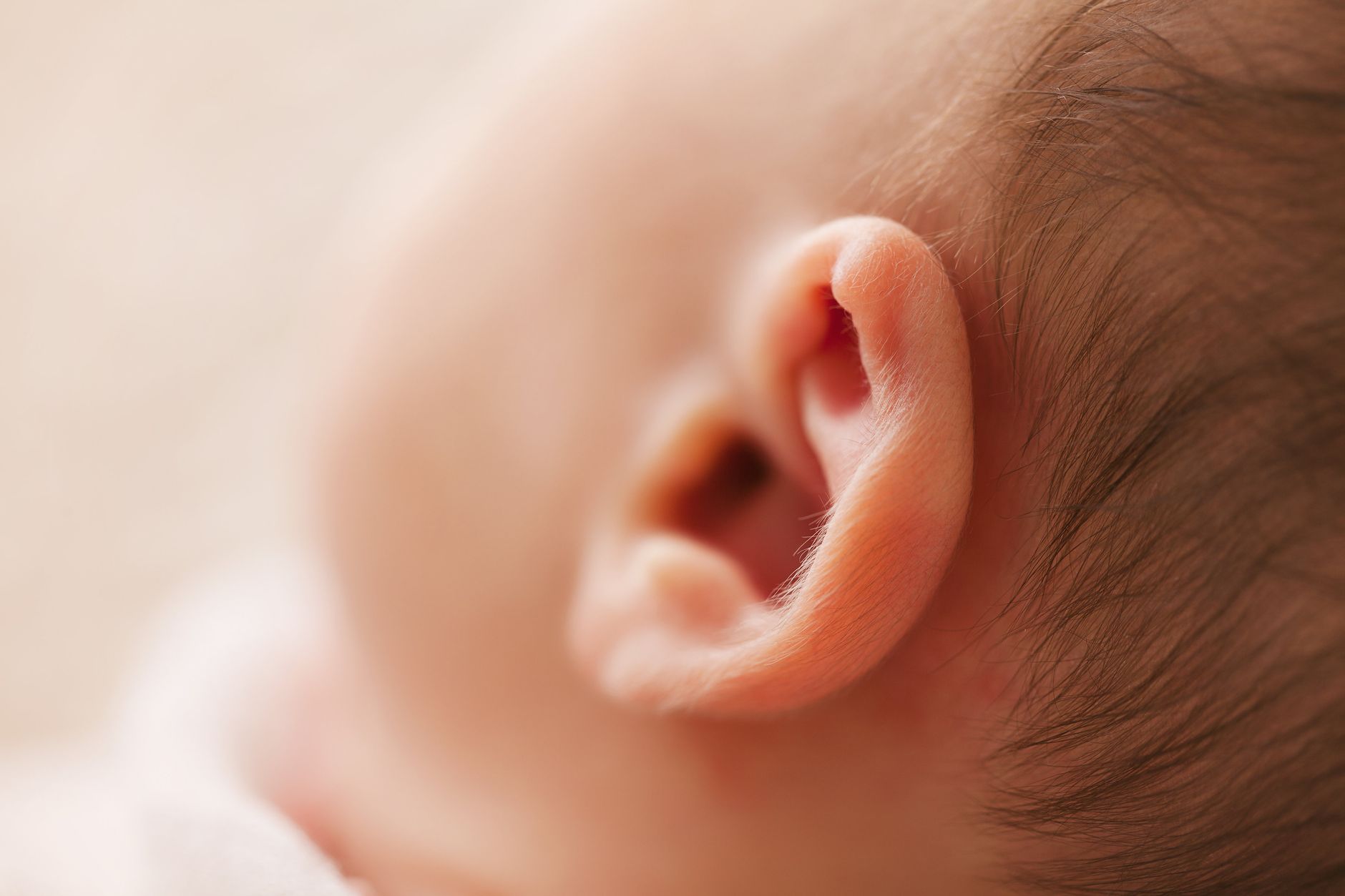 Sourde captures what happens when hearing loss divides a family from within