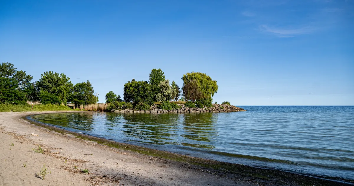 Scarborough Bluffs could finally be open to the public