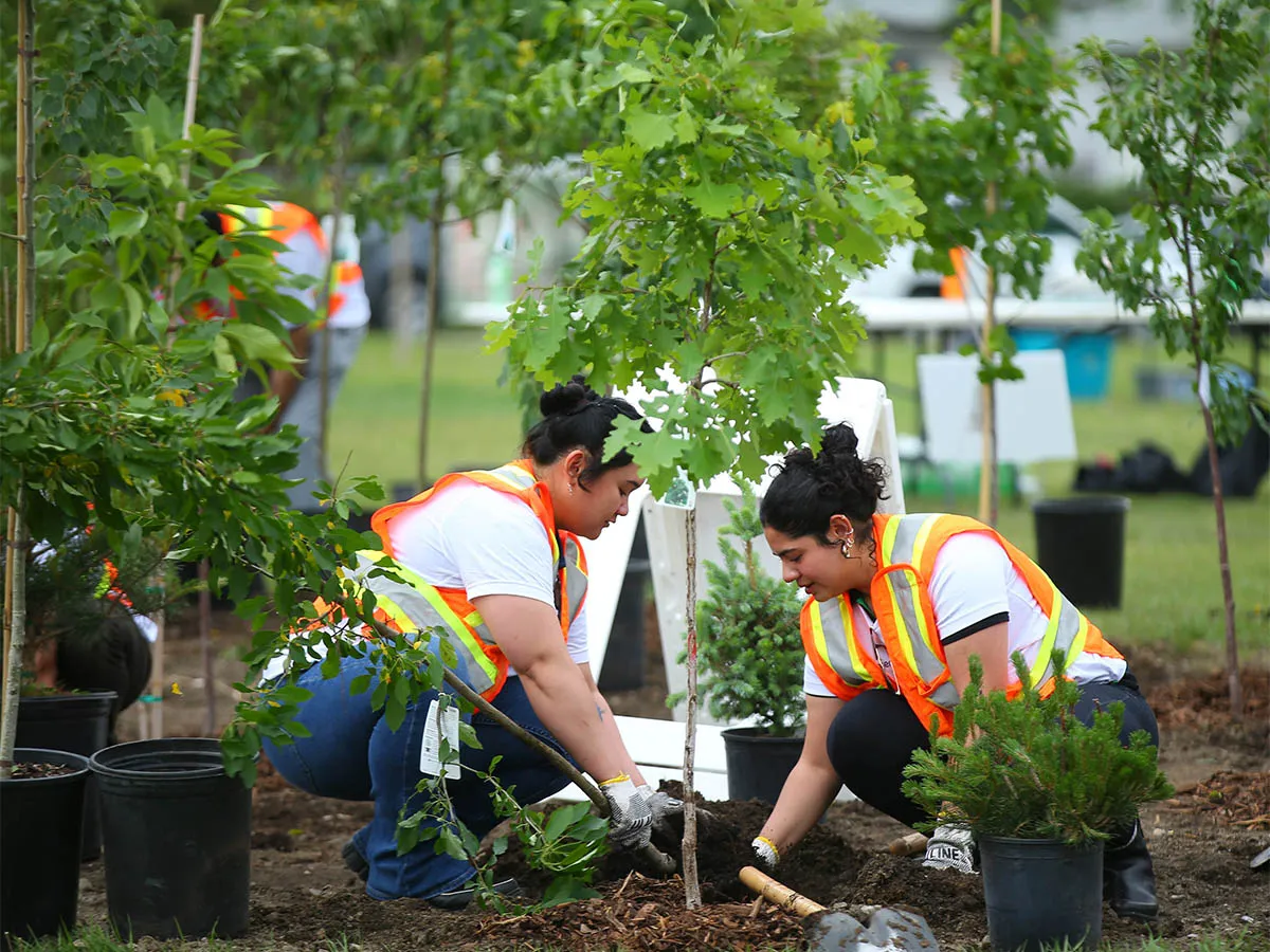 Calgary plants 1,400 trees across city parks this spring