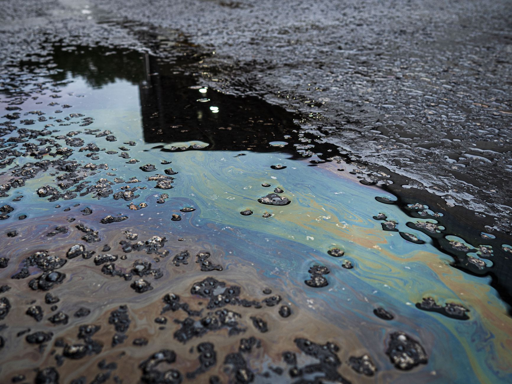 Metrolinx contractor's chemical spill contaminates West Highland Creek in Scarborough