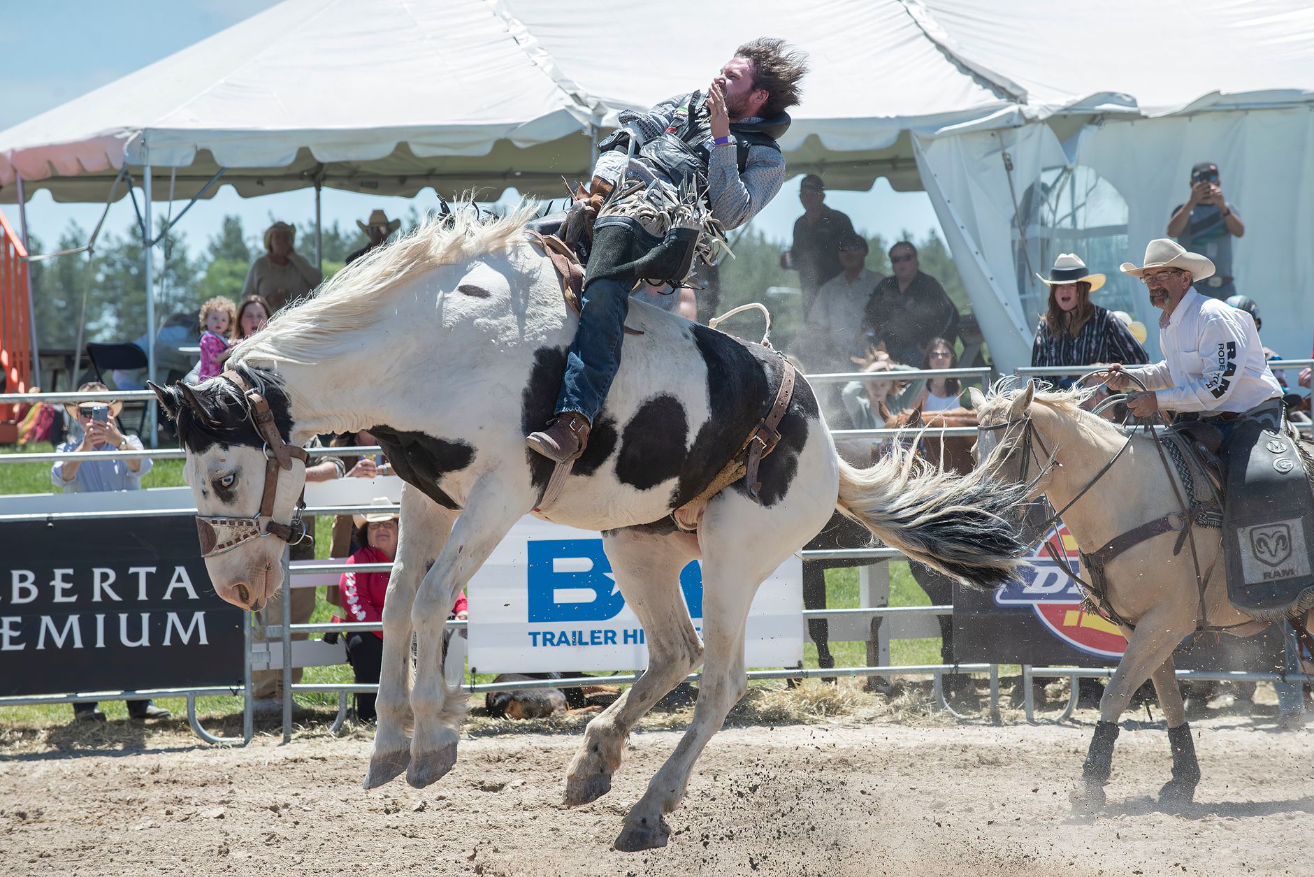 Saddle bronc chaos ends with three-way tie at Calgary Stampede rodeo