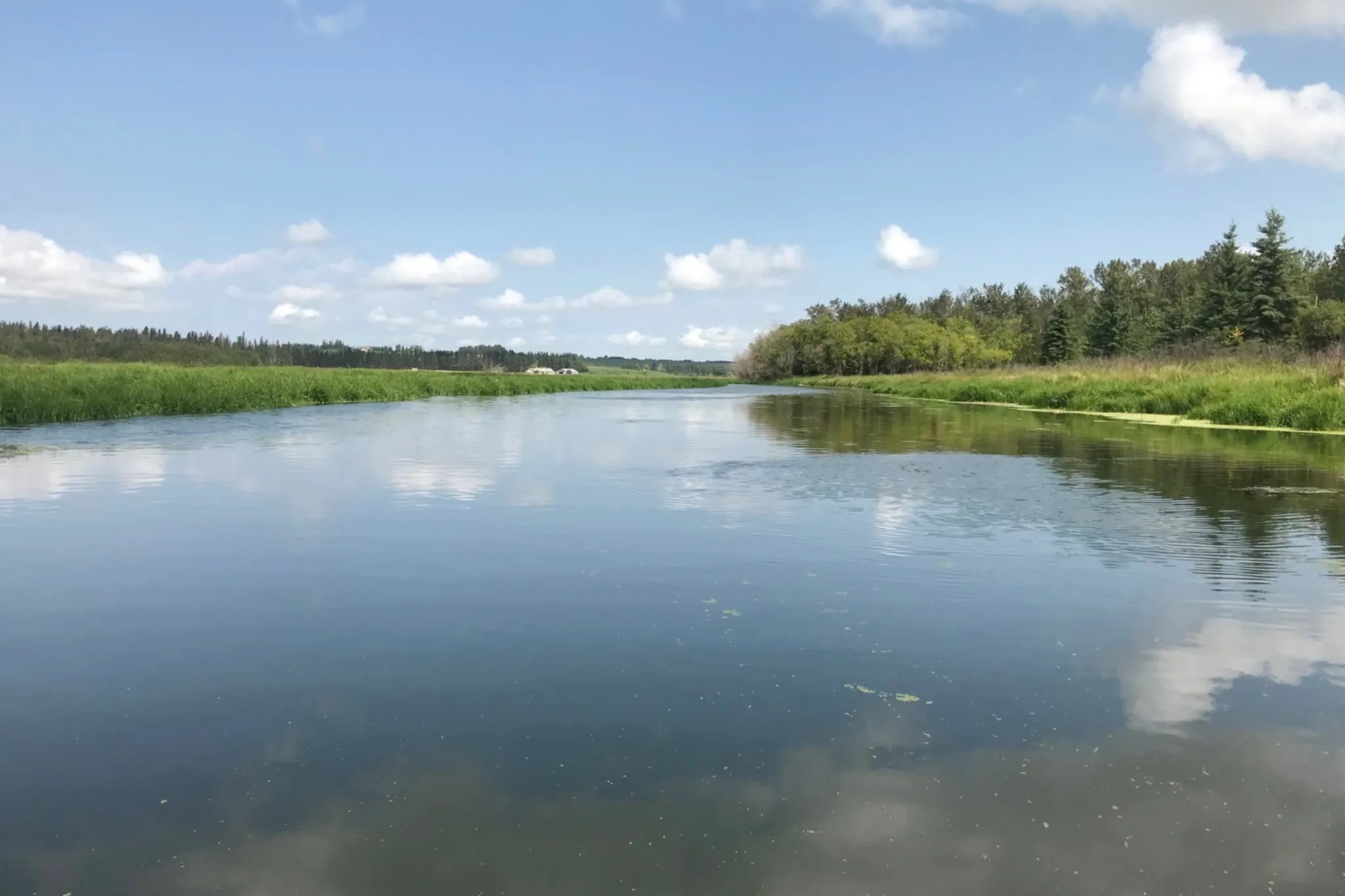 Fecal bacteria closes Sturgeon River swim spots in St. Albert