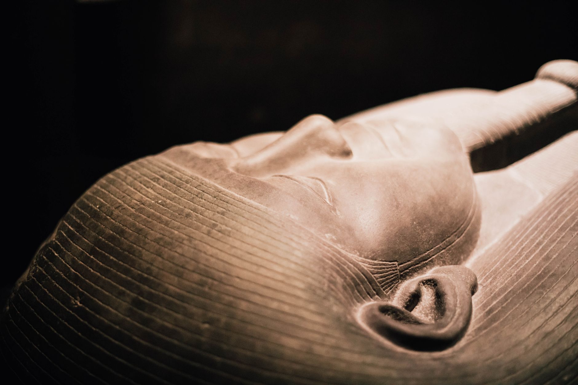 Death exhibition at Royal Alberta Museum sparks intergenerational conversations