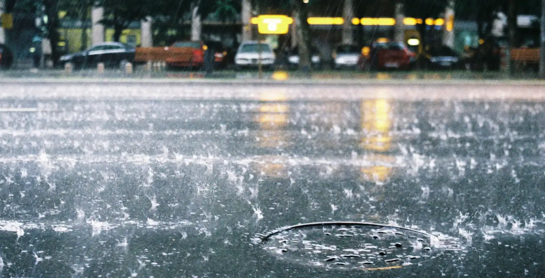 TRCA issues flood warning as heavy rain soaks region