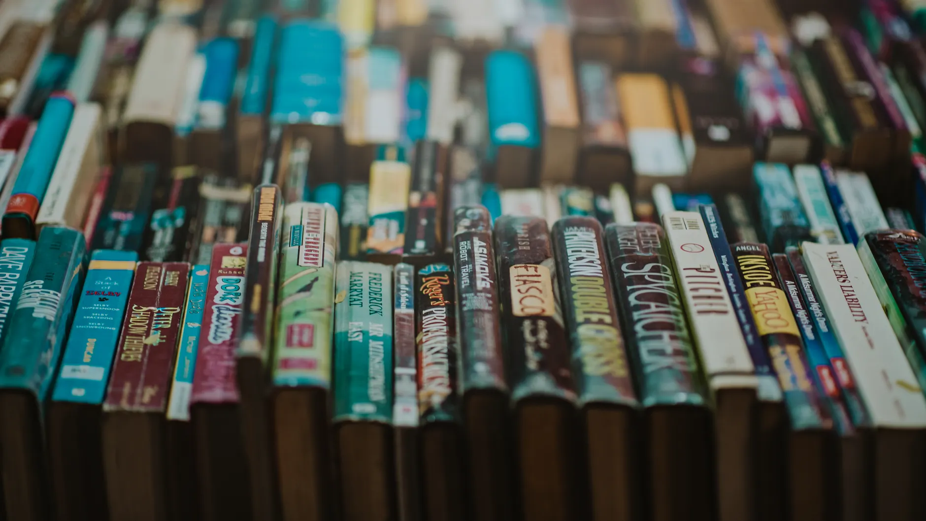Five new books on identity, history, and women's lives