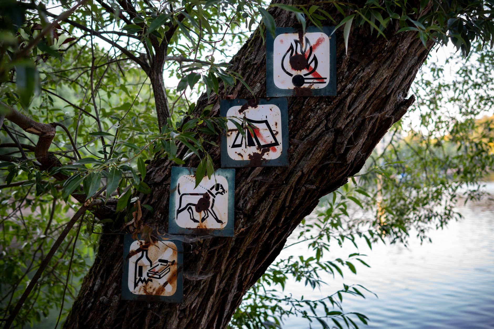 Quebec lifts ban on open fires in forests
