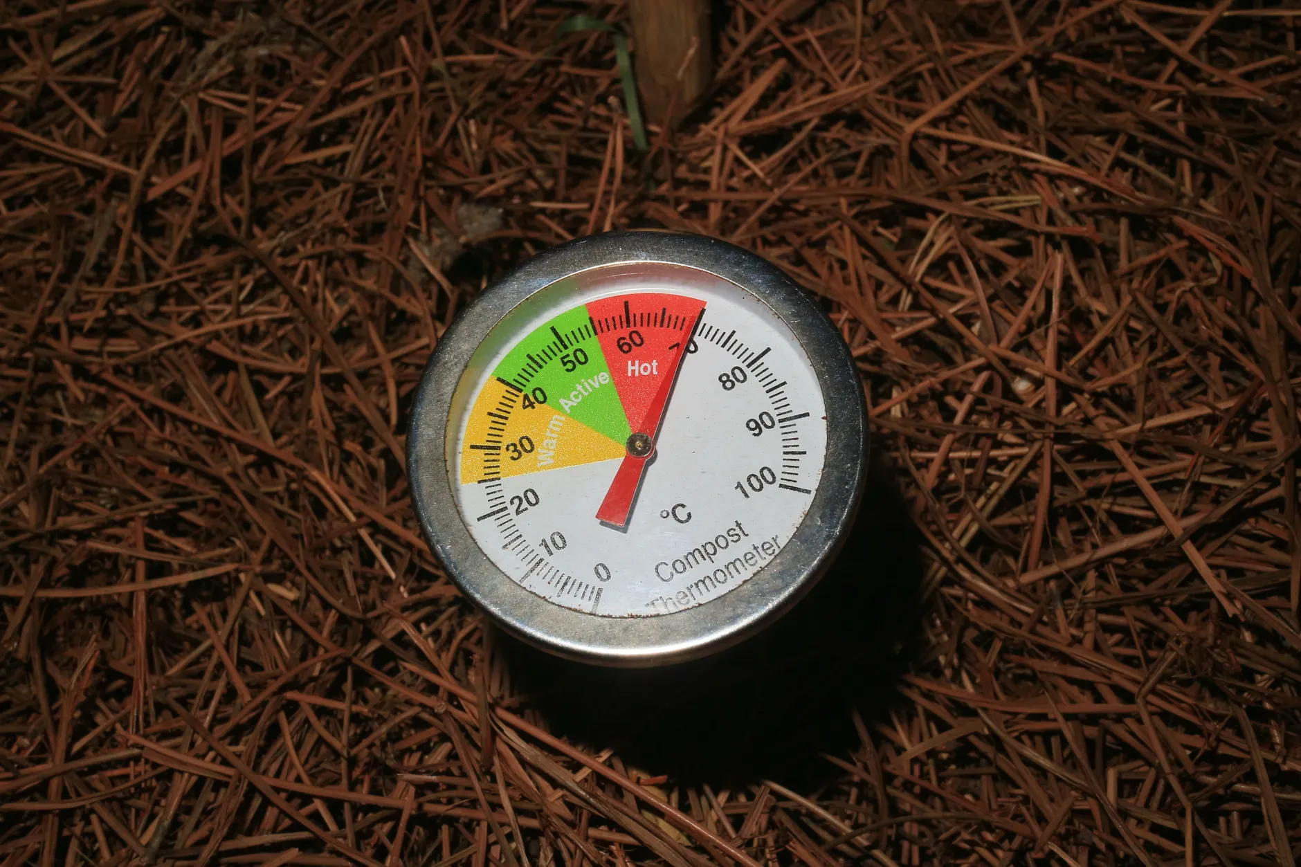 Edmonton activates extreme heat response through Sunday as temperatures soar to 29°C