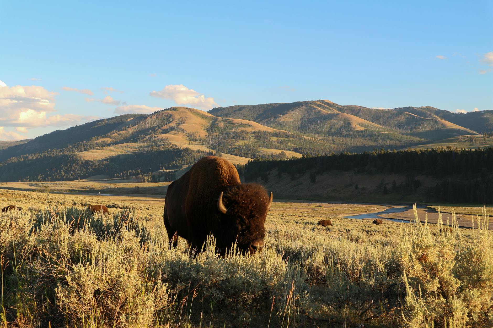 Wild Blue joins North America's elite dining list