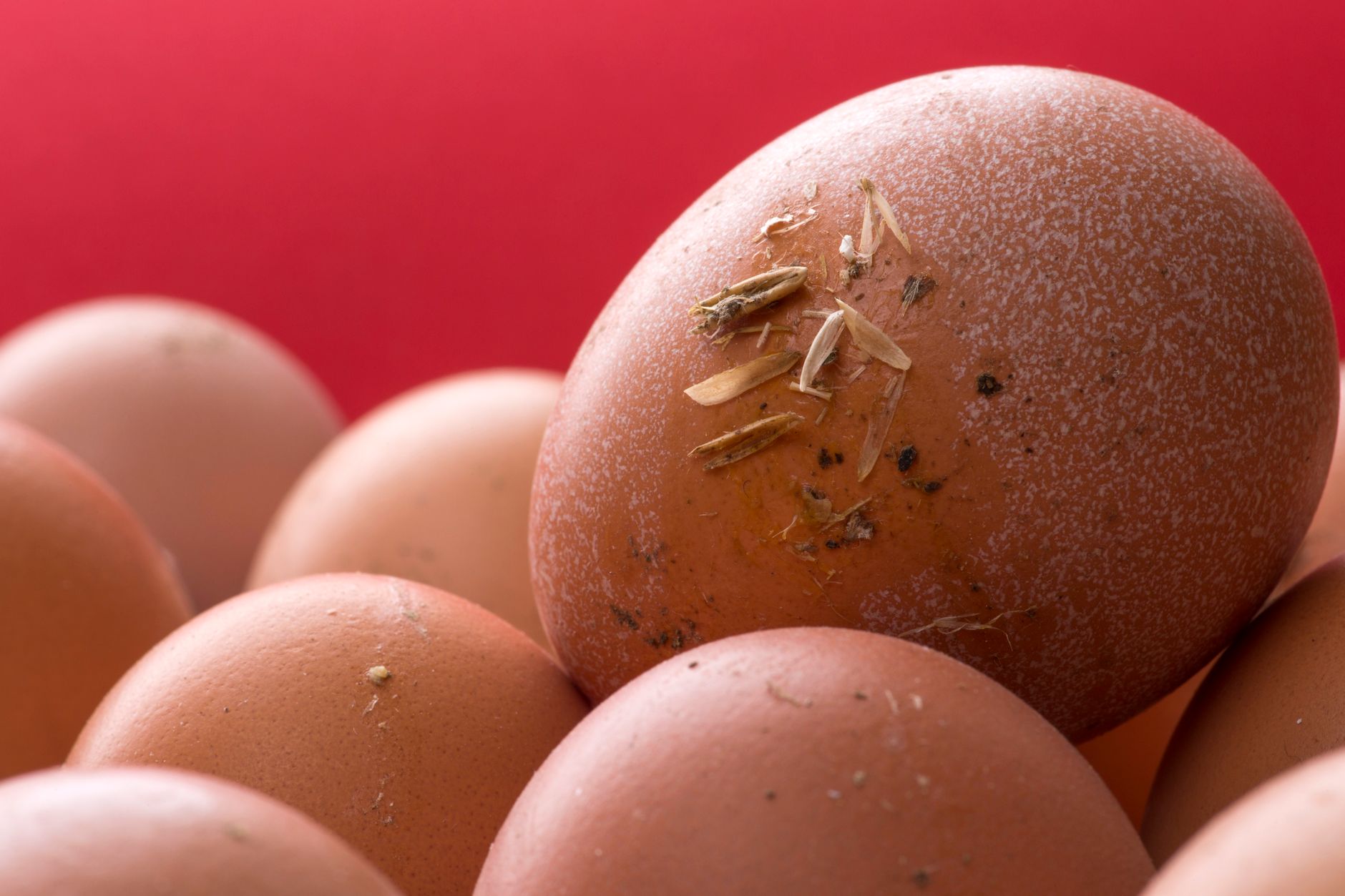 Quebec allergy alert: Unmarked eggs and sulfites found in quiche and pâtés from Rawdon company
