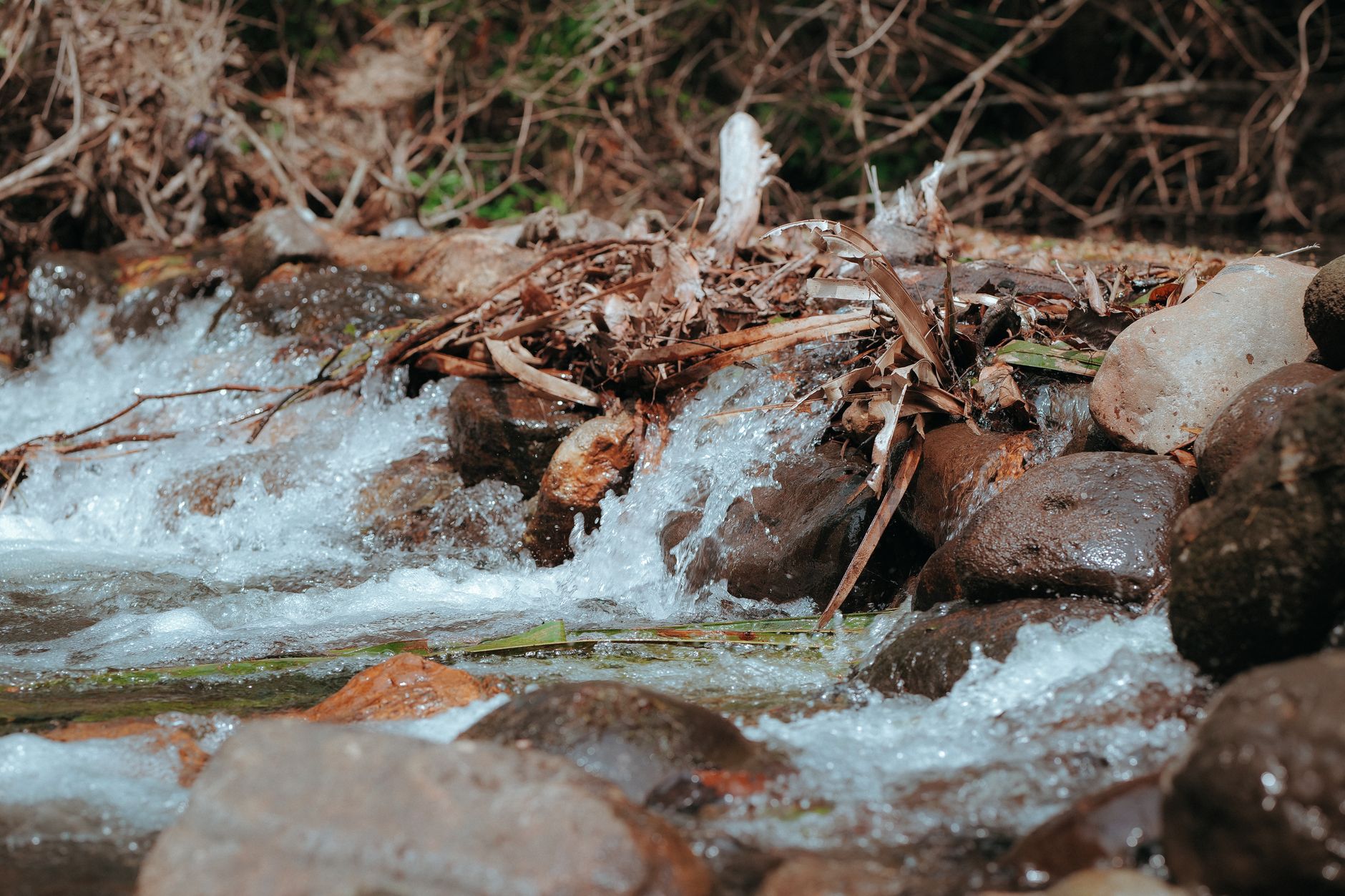 Delta detects 'forever chemicals' in groundwater; two wells offline pending protection plan