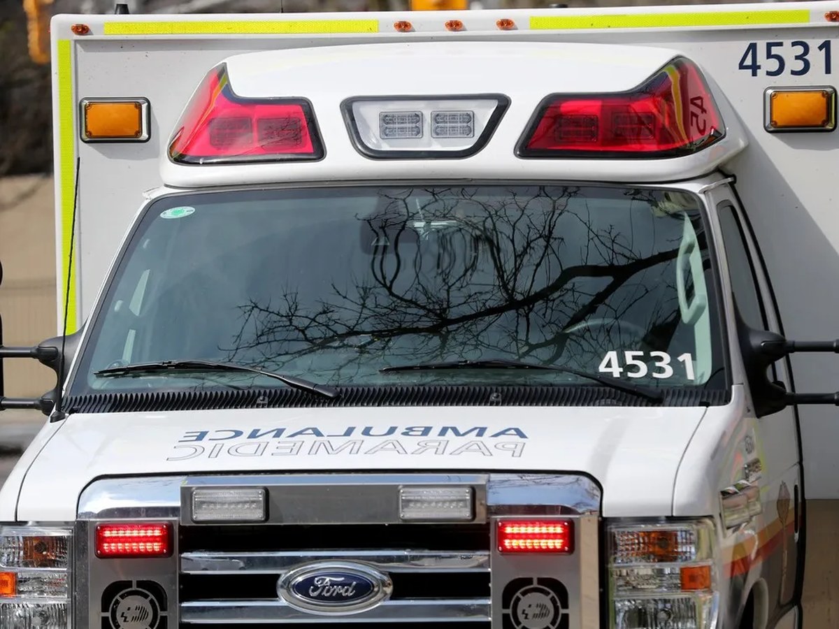 Two stabbed at Mooney's Bay amid violent confrontations