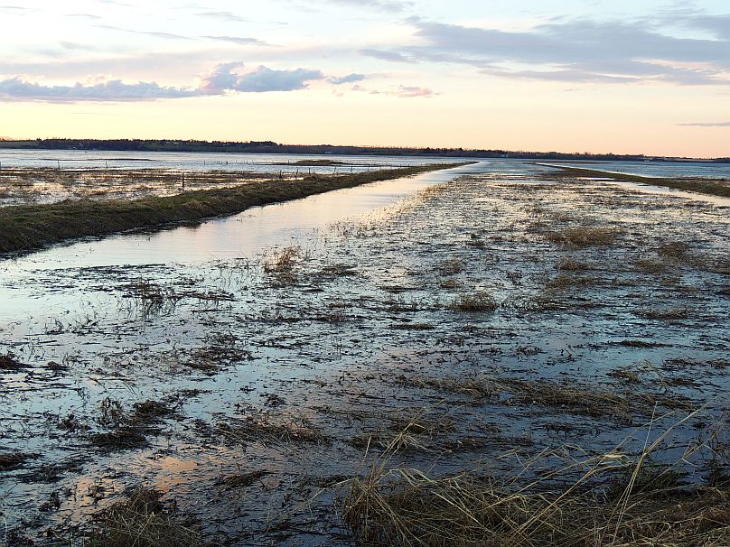 Lois Hole Centennial Provincial Park near Edmonton is one of Alberta's critical wildlife habitats