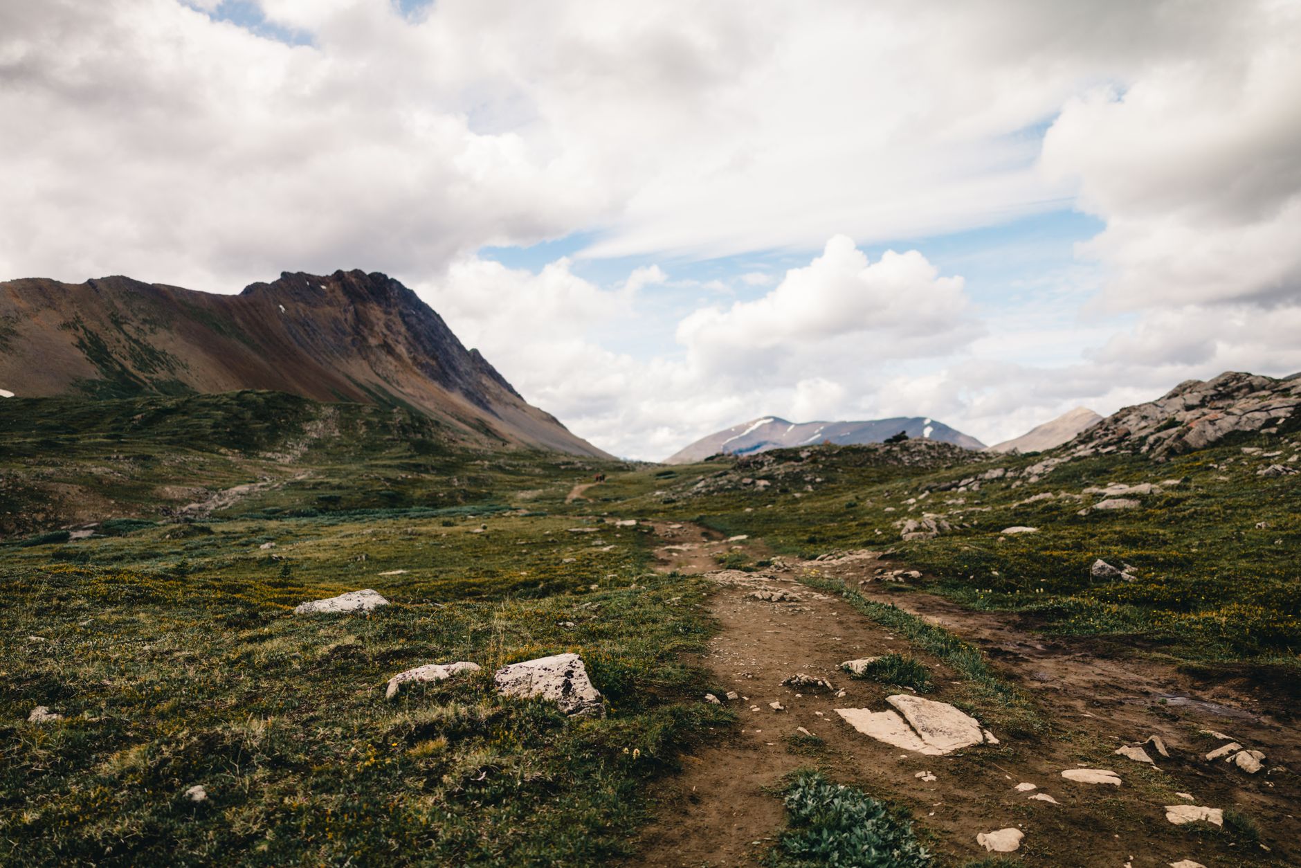 Trail in Jasper National Park temporarily closed after grizzly injures multiple hikers