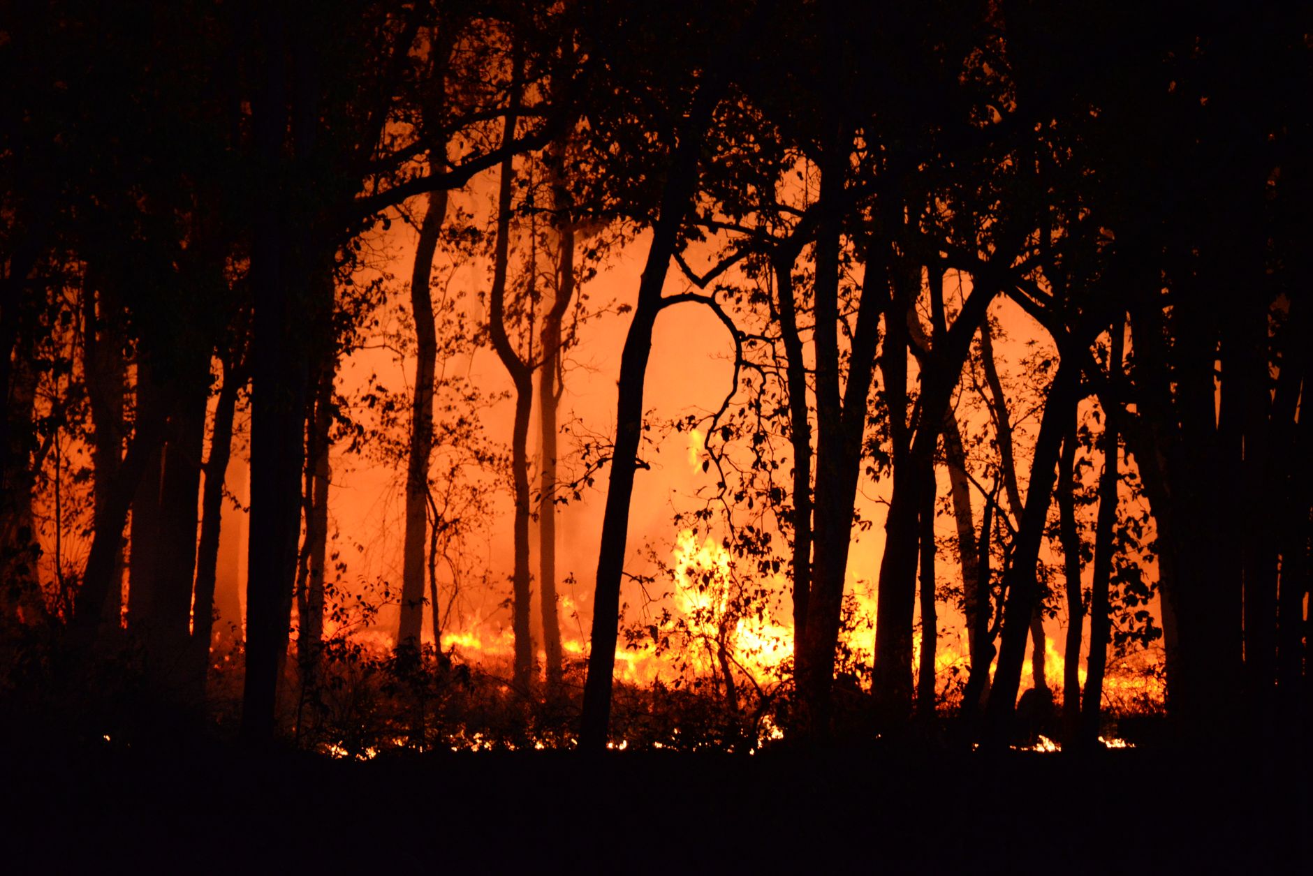 B.C. wildfire evacuation orders expand as more than 80 blazes rage across the province