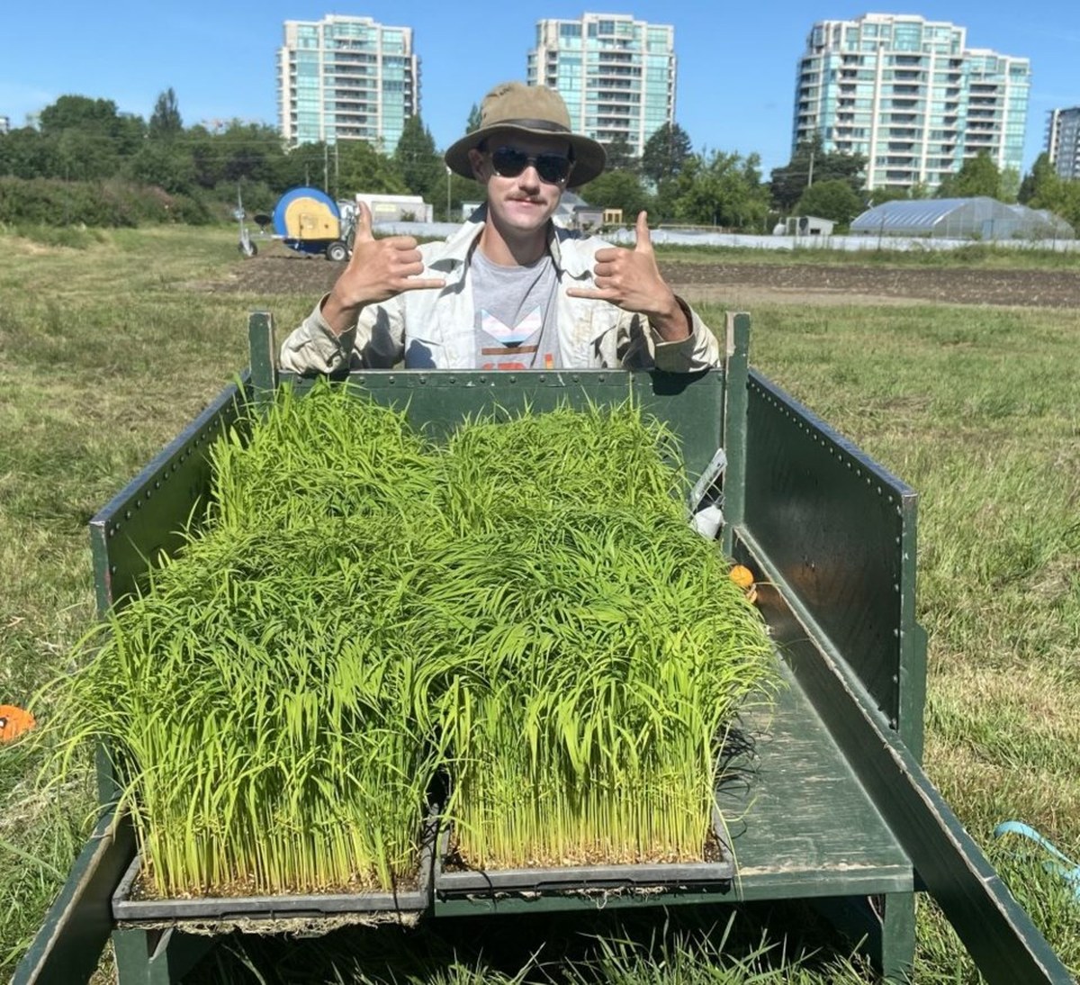 KPU Richmond students grow dryland rice to cut emissions