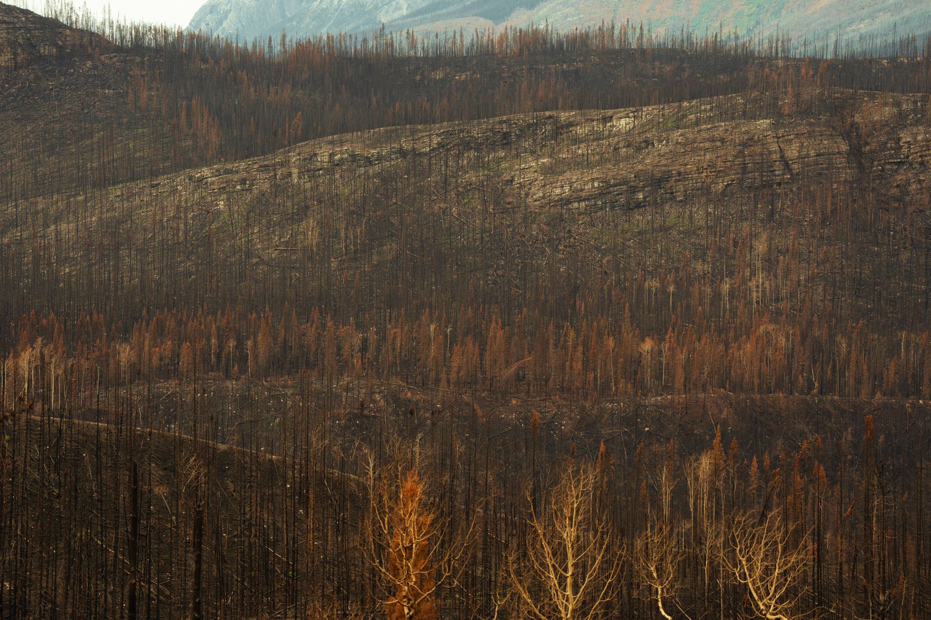 Quilpituk Creek wildfire grows to 1,238 hectares; planned ignition operation set for Sunday