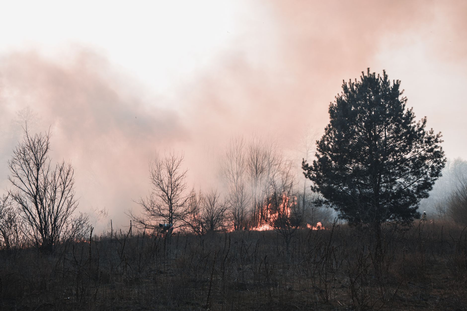 BC's wildfire tactics shift mid-season as drought makes old burn scars unreliable