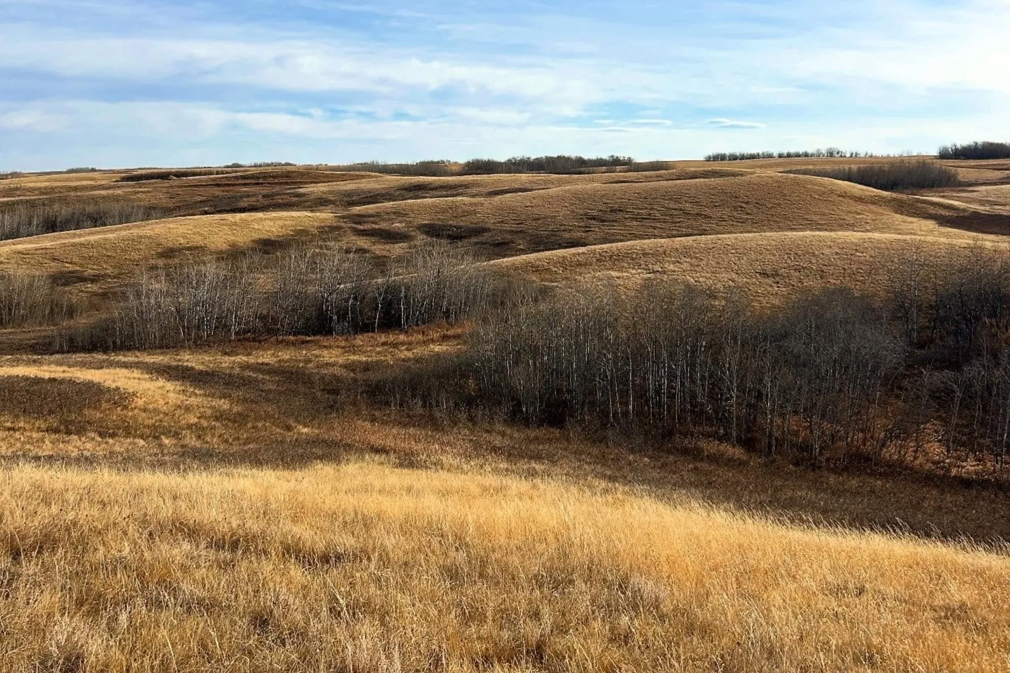 Antelope Hill Provincial Park opens 940 acres of rare grassland