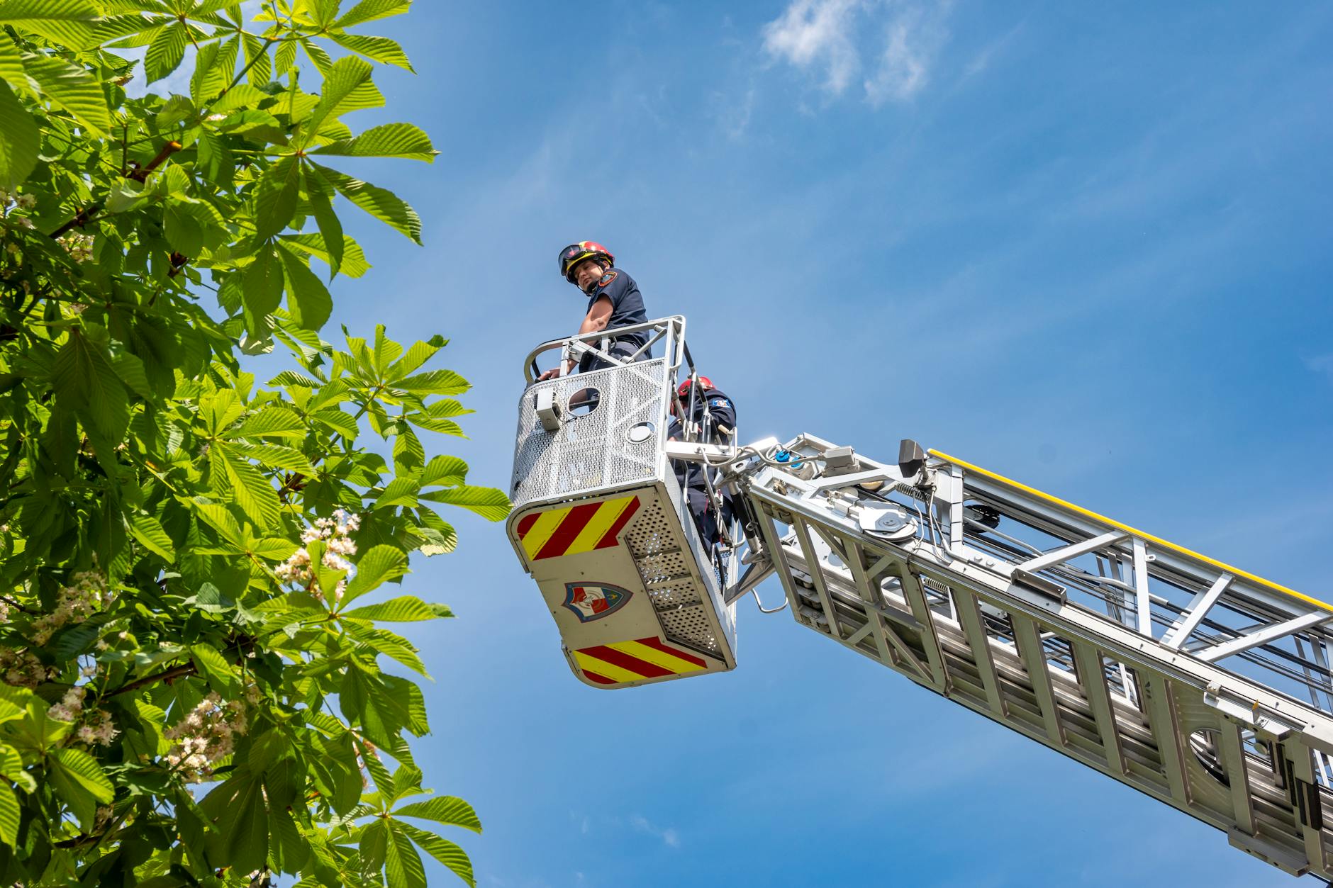 Leduc County, Beaumont lift fire restrictions after heavy rain