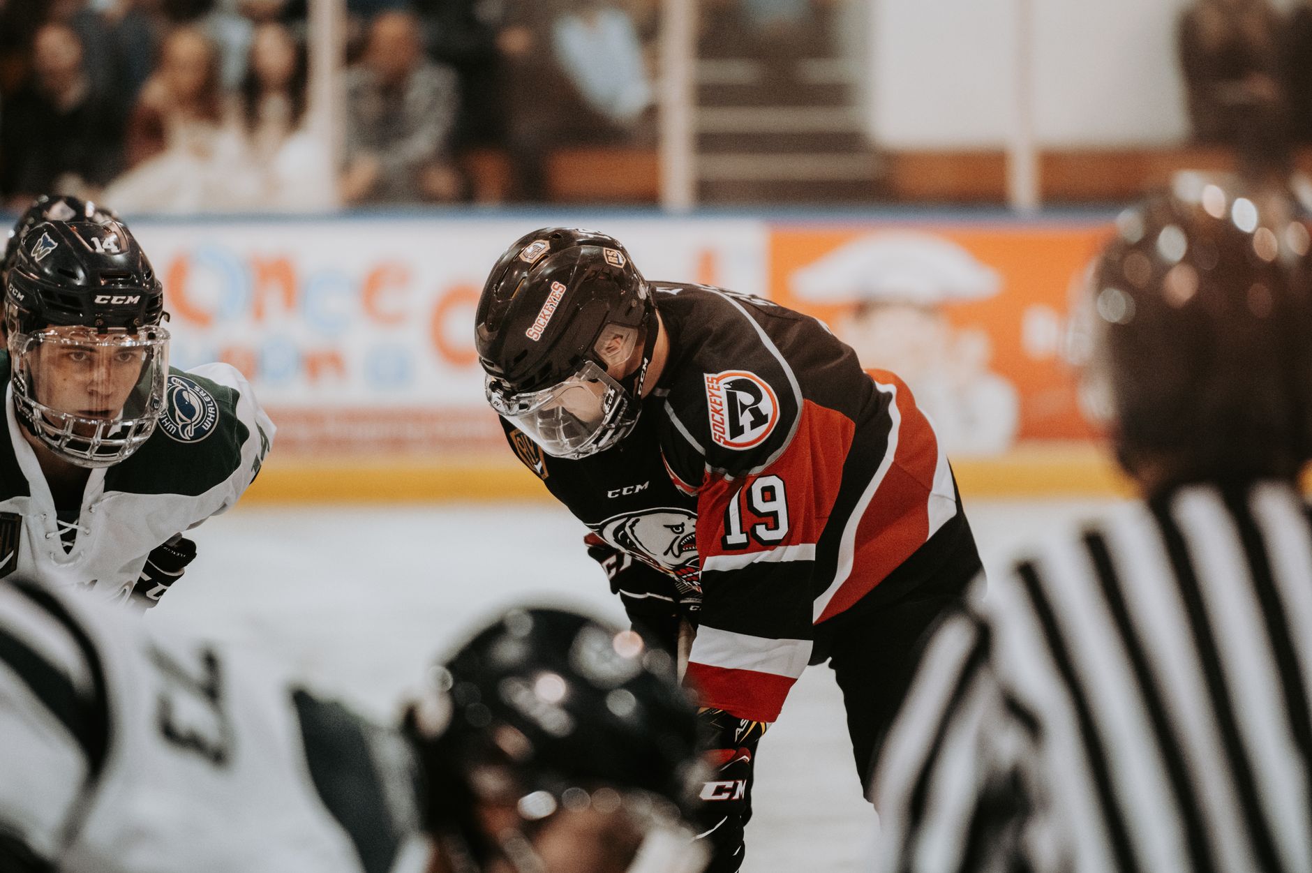 Senators Draft Eight Prospects at 2026 NHL Draft