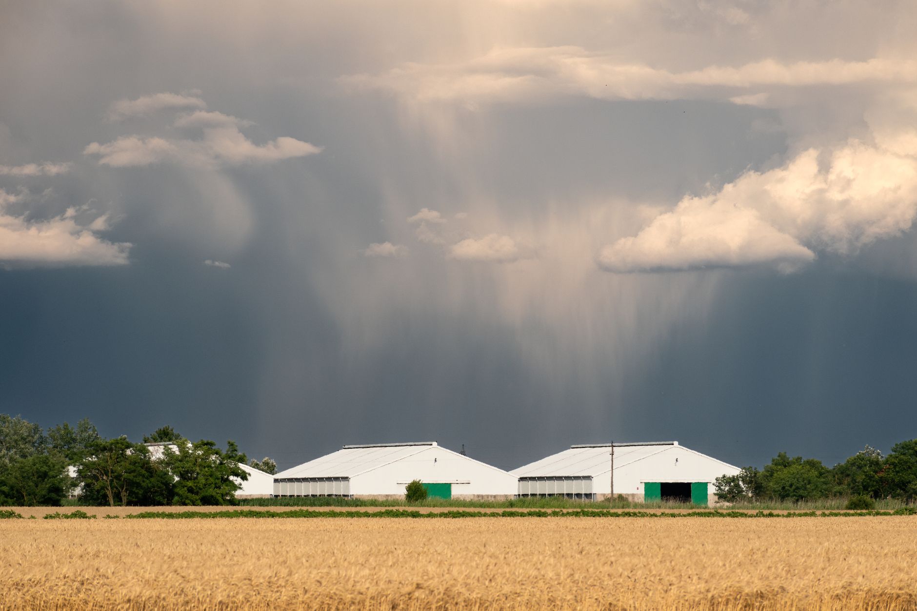 Ottawa drenched in record rainfall as Canada Day storm cancels celebrations