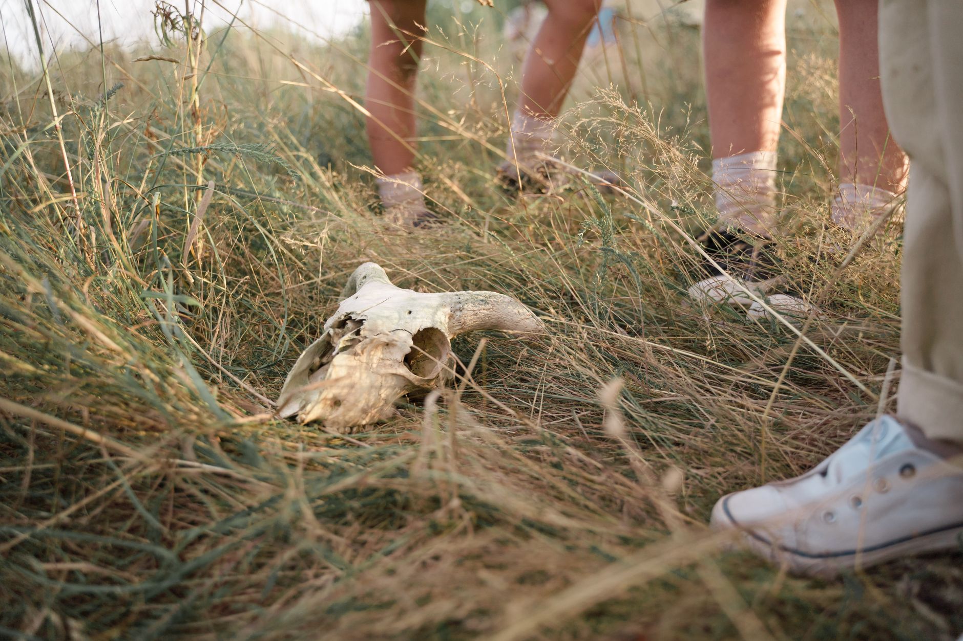 Remains of two girls who died at residential school brought home to Łutselk'e, N.W.T.