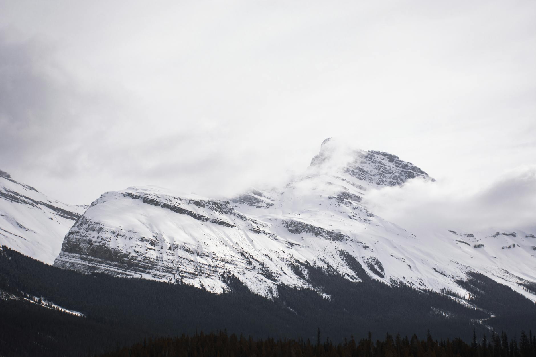 June snow blankets Alberta peaks with up to 20 cm