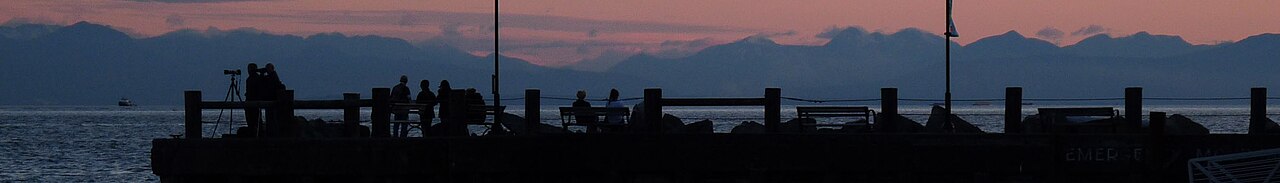 West Vancouver captures otter family and grey whale in single video moment