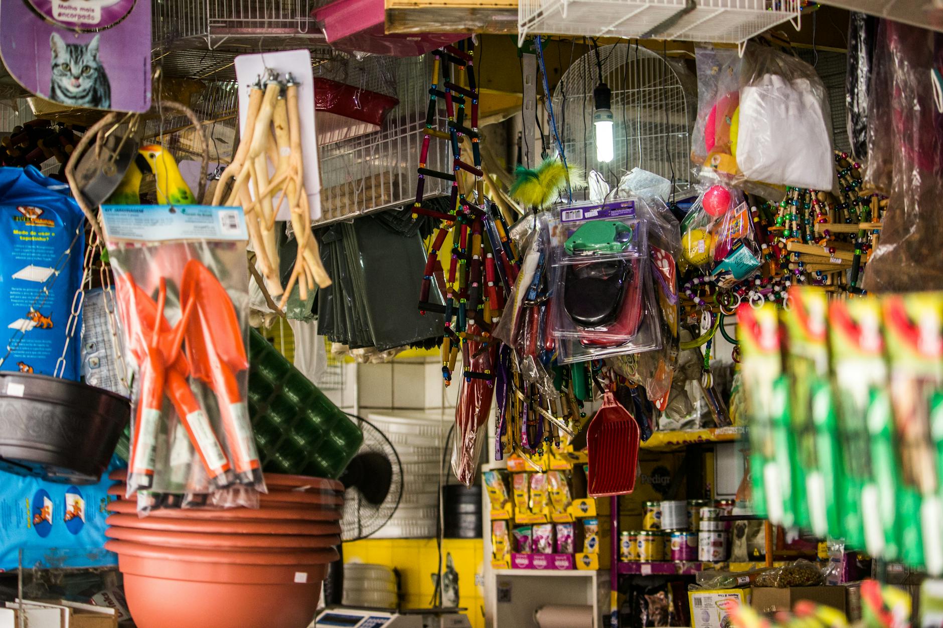 FIFA's Pet Store Crackdown Sparks Backlash