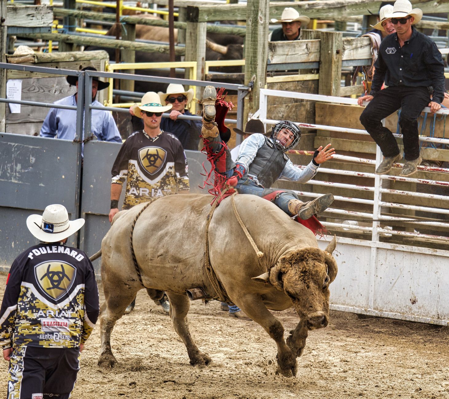 Bull rider Jordan Hansen eyes second Calgary Stampede crown
