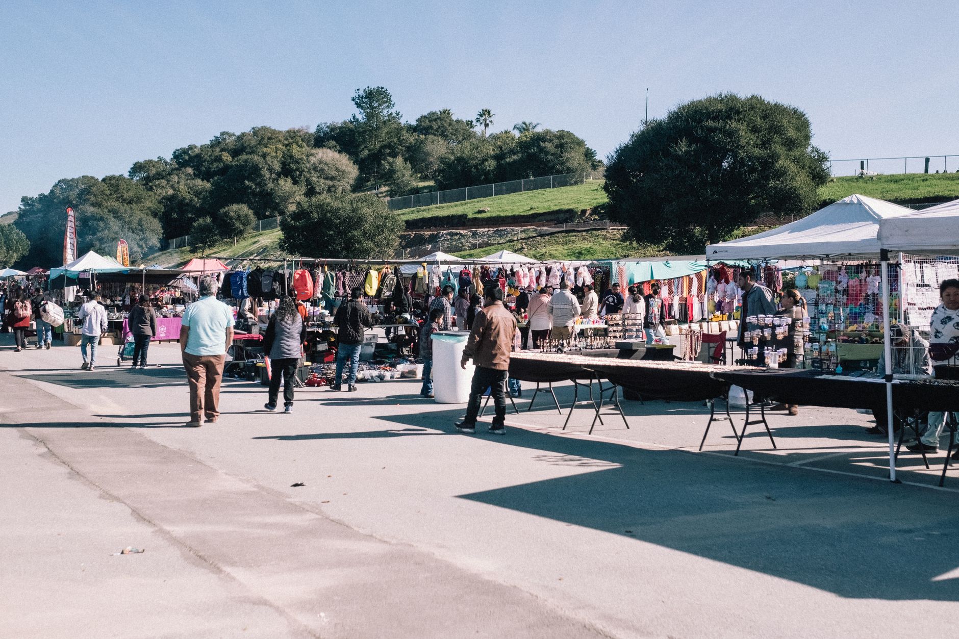 Cloverdale Market Days returns June 27 with 14 food vendors