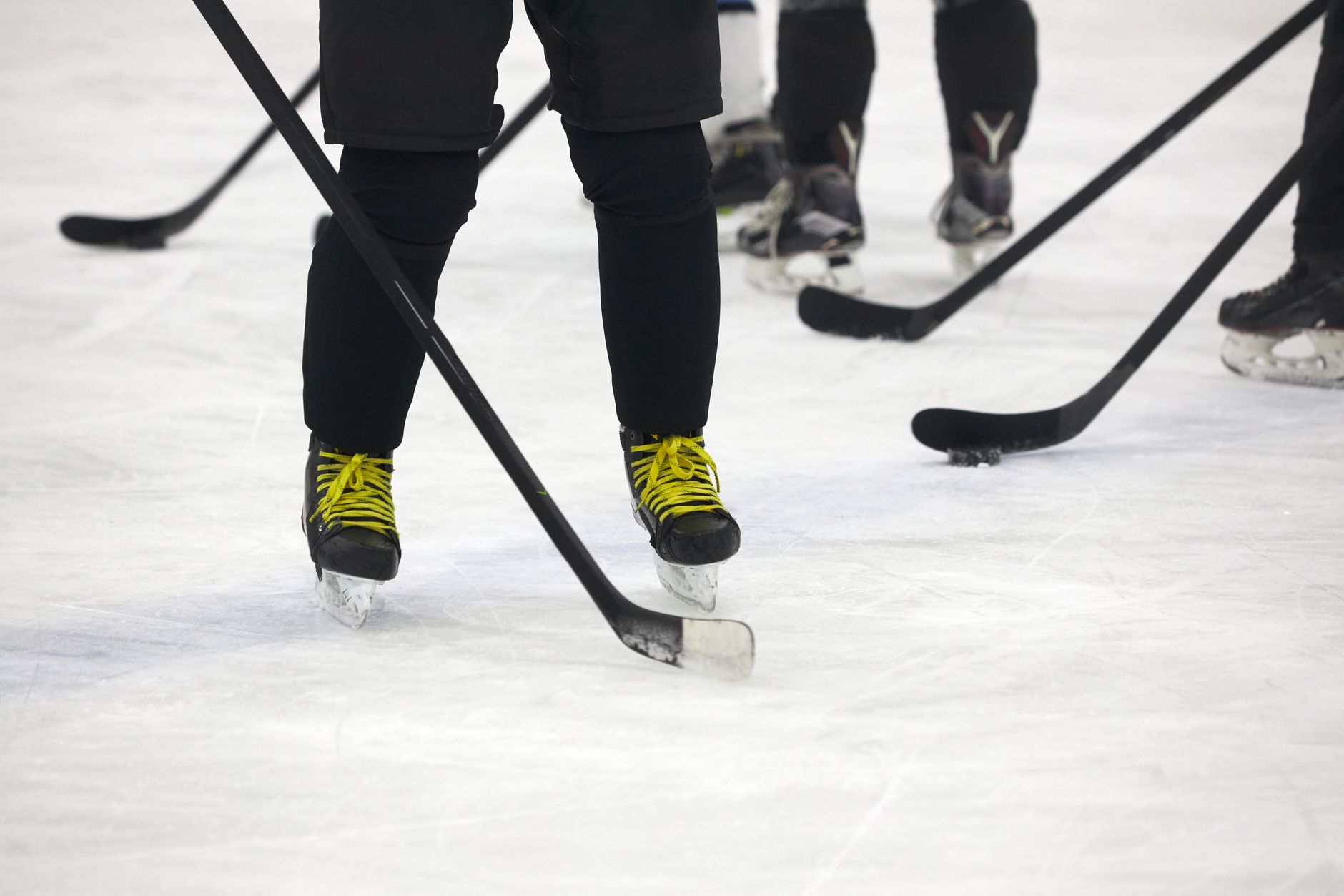Hockey Diversity Alliance holds second annual Summer Fest at Canoe Landing with NHL and NFL stars
