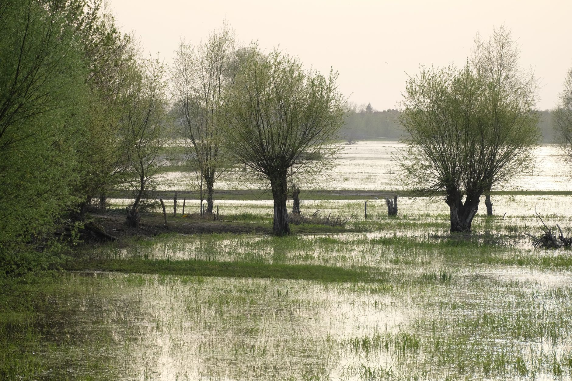Flash flooding swamps West Island and South Shore