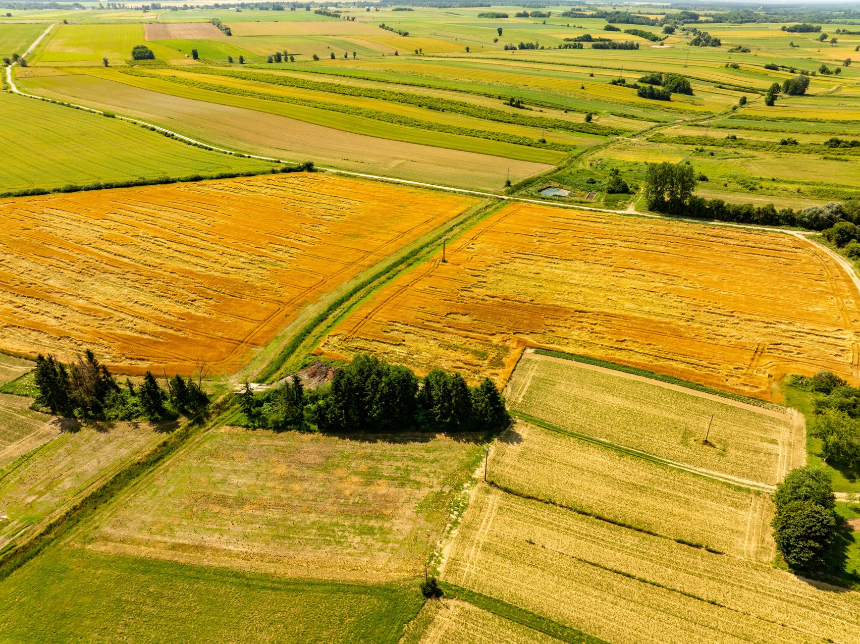BC NDP discloses 334,600 acres committed to First Nations land transfers